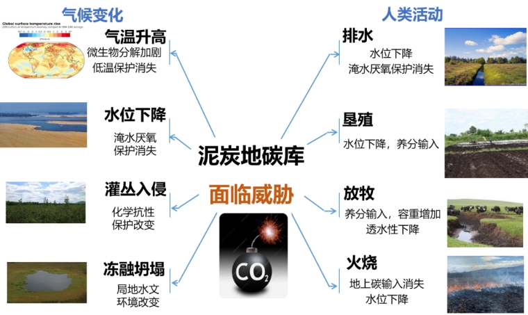 中国泥炭地碳库演变规律与稳定性维持机制--中国科学院东北地理与农业生态研究所